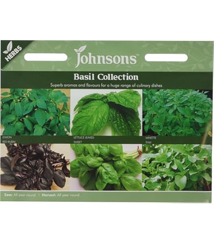 Semi Di Basilico Su Nastro - Miscela Trio Genovese, Lattuga E Opale Viola - Foto 4