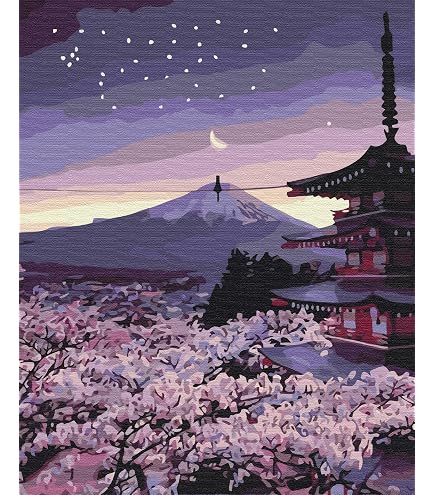RICUVED NICE Pittura Con I Numeri | Paesaggio 20x30 Cm Con Cornice | Kit Completo Per Adulti E Bambini | Regalo Creativo