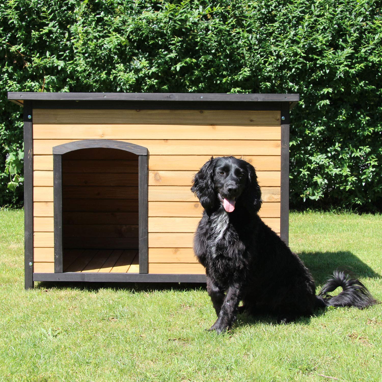 ZOO-XXL-Niche-Eddy-pour-Chien-en-Bois-Massif-de-Haute-qualit-Taille-XL