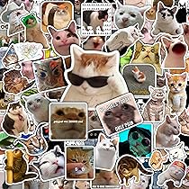 116 Adesivi Divertenti A Forma Di Gatto - Vinile Impermeabile Per Laptop, Bottiglie E Valigie