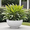 YUCCABE ITALIA FOXB KTR 18 INCH Pots for Plants Highly Durable Polymers Lightweight Indoor Outdoor Flower Pot Gamla Tree Planter Container Planters for Living Room, Balcony, Office, White