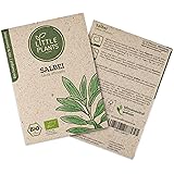 Little Plants BIO-Salbeisamen (Salvia officinalis) | BIO-Kräutersamen | Nachhaltige Verpackung aus Graspapier | Kräuter-Samen