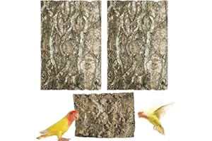 Allazone Sughero Terrario Sfondo, Decorazione di Corteccia di Rettile, Fondo Corteccia di Sughero per Terrario Decorazione per Tartaruga Lucertola (3PCS, 20 x 30cm)