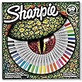 Sharpie Fine and Ultra Point Permanent 30 Markers in LizaRed Box, Assorted