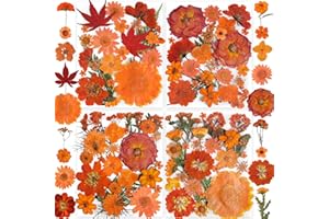 34 Types 144PCS Orange Dried Pressed Flowers with Butterfly Stickers - Youthbro Real Nature Flowers Set for Resin DIY Jewelry Candle Soap Vase Making Nail Card Scrapbook Art Craft Floral Decors