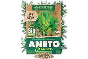 ZenGreens® Semi di aneto biologico - Semi di erbe aromatiche per la coltivazione in giardino, sul balcone o in cucina - Ideali per i principianti