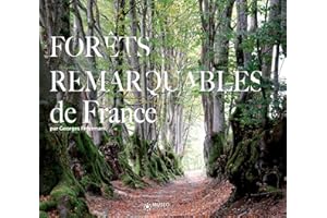Forêts remarquables de France