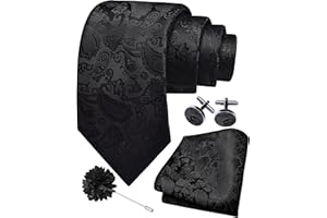 Gusleson 3.15"（8cm） Mens Paisley Tie and Lapel Pin Necktie Hankerchief Cufflinks Set for Men