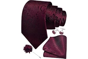 Gusleson 3.15"（8cm） Mens Tie and Lapel Pin Paisley Necktie Hankerchief Cufflinks Set for Men