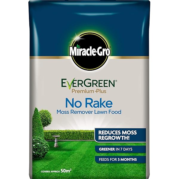 Evergreen No Moss No Rake Moss Remover Lawn Feed 50m2 Amazon Co Uk Garden Outdoors