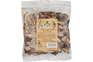 Wagner Green Forest Steinpilze kleinstückig geschnitten, 2er Pack (2 x 40 g)