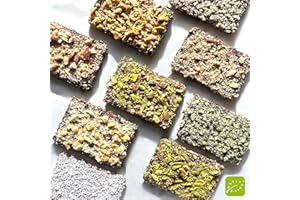 Veganwell - 10 Barrette proteiche vegane senza zucchero aggiunto, senza lattosio - Barrette energetiche - snack proteici - Vegan protein bar - Sette gusti (Cocco)