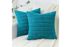 Topfinel Funda de Cojín 40x40cm Juego de 2 Piezas Pana Suave Cadena Gorda Funda de Almohadon Decoración del Salon Cama para Sillas Sofa Jardin Dormitorio Hogar de Interior Casa Modernos Azúl