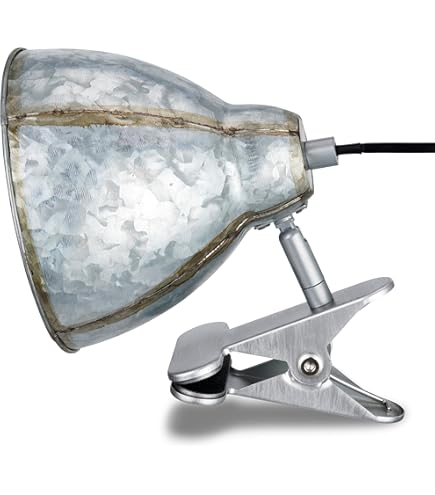 Lampada Con Morsetto Nordlux - Photo Spot 40W, Alluminio, Ideale Per Desk E Lavori