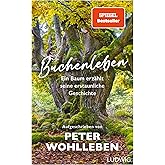 Buchenleben: Ein Baum erzählt seine erstaunliche Geschichte
