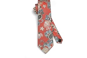 HISDERN Cravatte uomo Paisley Floreale Cravatta Fazzoletto Set Matrimonio Cravatte da uomo & Pocket Square