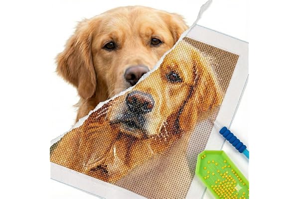 GIRLSIGHT Kit de Peinture Diamant Personnalisé, Broderie Diamant 5D DIY avec Photo, Mosaïque pour Enfants et Adultes, Décoration Murale Moderne (30X40cm)