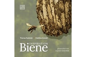 Inspiration Biene