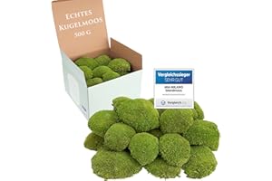 ‎MIA MILANO Kugelmoos hellgrün konserviert | 500g Echtes Bollenmoos für Moosbilder | Haltbares Moos zum Basteln | Wetterfestes hellgrünes Islandmoos