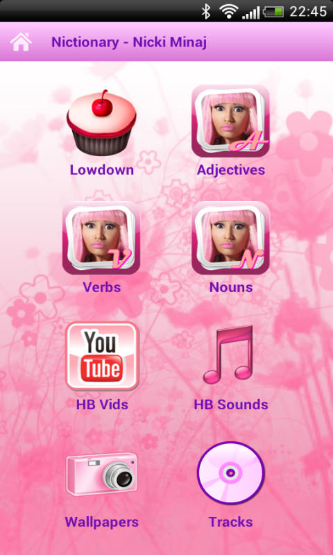 nicki minaj nictionary nicki minaj nictionary