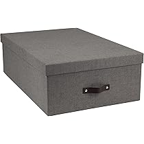 Bigso Box of Sweden Katia middelgrote opbergdoos met deksel, stabiele organizer van vezelplaat en papier in linnenlook, praktische vouwdoos met etikettenframe, beige