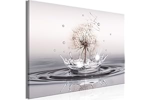 murando Cuadro en Lienzo Diente de leon 90x60 cm Impresión de 1 Pieza Material Tejido no Tejido Impresión Artística Imagen Gráfica Decoracion de Pared – Flores Abstracto Naturaleza b-C-0733-b-a