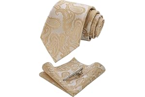JEMYGINS Cravate Homme Paisley et Pinces à cravate et Carre de poche Emsemble
