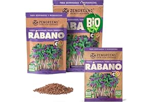 ZenGreens® - Semillas de rábano rambo ecológico - Elija entre 10g, 200g y 500g - brotes de rábano - germinación de más del 97% - Microgreens