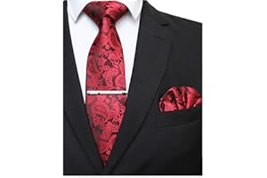 JEMYGINS Cravatta Uomo Paisley Design in Diversi Colori con Fazzoletto e Fermacravatta