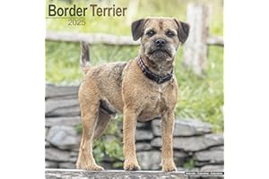 Border Terrier 2025 Square Wall Calendar | Dog Breed Calendar: Original Avonside-Kalender [Mehrsprachig] [Kalender]