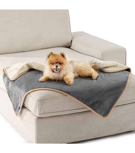 Hondendeken voor onderweg, opvouwbare waterdichte huisdierdeken, campingdeken, hond, kat, mat, warme deken, hondenmat voor buiten, binnen, grote reisdeken voor huisdieren, 100 x 70 cm (groen Hondendeken voor onderweg, opvouwbare waterdichte huisdierdeken, campingdeken, hond, kat, mat, warme deken, hondenmat voor buiten, binnen, grote reisdeken voor huisdieren, 100 x 70 cm (groen