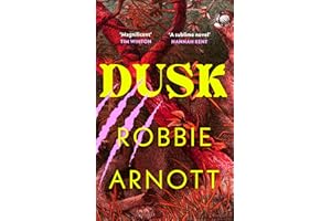Dusk: A page-turning new historical novel from the prizewinning author of Limberlost