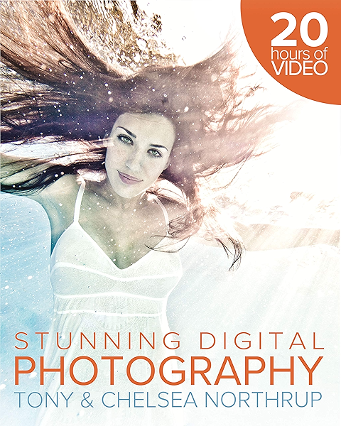 How To Create Stunning Digital Photography Ebook Northrup Tony