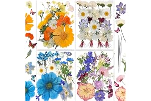 YoothBro 138PCS Vraie Nature Sec Gaufré Résine Moule, Sec Gaufré [apillon Transparent Autocollant DIY Bijoux Faire Pngles Carte Scrapbooking Art Craft décoration Twinkle