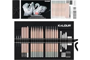 KALOUR 29-teiliges Profi-Skizzierstift-Set mit Rollbarem Nylonetui – 14 Graphitstifte (14B–5H), Kohlestifte, Radiergummis, Spitzer & Estompen – Komplettes Künstler-Set für Anfänger & Profis