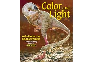 Colour and Light: A Guide for the Realist Painter: Volume 2