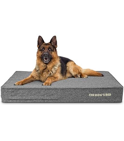 Fabricant de gros chenil orthopédique lavable amovible coussin de siège de voitu