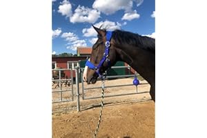 Licol rembourré à sang froid | Licol pour chevaux xfull | avec polaire | Licol pour chevaux noir | 2 positions réglables (bleu roi, sang froid)