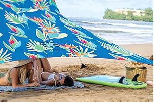 Tienda de campaña Neso Tents Beach con Ancla de Arena, toldo portátil Sunshade - 2.1m x 2.1m - Esquinas reforzadas patentadas(Color)