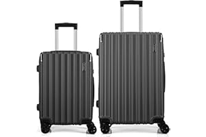 FLIEE Suitcase Set |4 Silent Dual Spinner Wheels |Lightweight Hard Shell Suitcases | TSA 3 Digit Combination Lock | Aluminium Telescopic Handle (Grey, Cabin 20" + Medium 24")