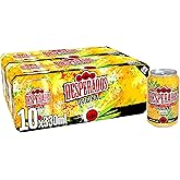 Desperados Tequila Lager Beer 2 x 10 x 330ml Cans