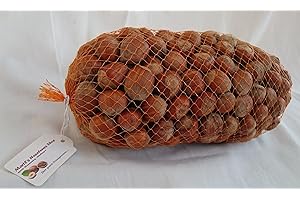 MARTLS HASELNUSS SHOP Haselnüsse Premium XL - Aus Deutschland! - Nüsse in der Schale - 1Kg