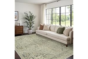 BEIMO Washable Rug Living Room Vintage Boho Rug Bedroom Short Pile Large Rugs Oriental Non-Slip Soft for Bathroom Dining Room