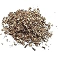 Angelica Root Cut, (25g)