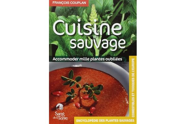 Cuisine sauvage - Accomoder mille plantes oubliées