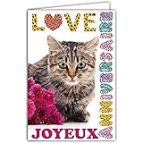 Afie 67 1115 Carte Pour Ton Anniversaire Chat Gris Doux Fleurs Bleues Rouges Roses Fabrique En France Amazon Fr Fournitures De Bureau Afie 67 1115 Carte Pour Ton Anniversaire Chat Gris Doux Fleurs Bleues Rouges Roses Fabrique En France Amazon Fr Fournitures De Bureau