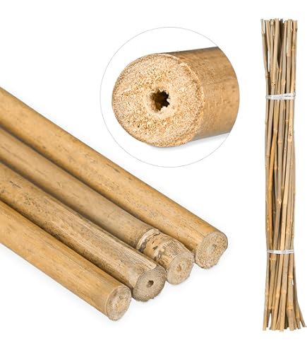 15 Tuteurs Bambou Naturel 40cm 0,3cm - Mr.Bricolage