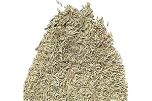 Il Contadino - Antiche Sementi | FESTUCA ARUNDINACEA | Tappeto erboso, Adatto a tutti i luoghi e tipi di terreno, Ottima resistenza alla siccità, al calpestio e all'ombreggiamento (10 Kg)