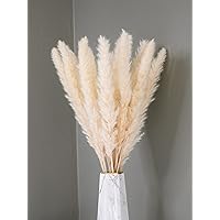 Boholife® Pampasgras getrocknet - EIN BLICKFÄNGER in deiner Wohnung - Trockenblumen, Boho deko, Deko Badezimmer & Deko