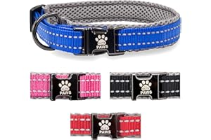 Elite Paws™ UK: Premium Metal Buckle Dog Collar, Strong, Safe, Padded, Comfortable, Reflective, Adjustable, Secure Fit with Metal Lead Attachment, Puppy Walking/Training Product (25cm-30cm, Blue/Grey)